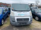 Fiat Ducato Kasten 28 100 - Fiat Ducato aus 2010: Van