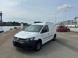 Volkswagen Caddy Maxi Kastenwagen - Volkswagen Caddy Maxi in Rostock