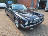 Jaguar XJ12 Ser. 3 Vanden Plas 112 tkm 1 Hd. 5.3 - Jaguar XJ12: Limousine