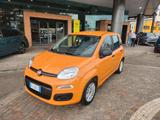 Fiat Panda 1.0 FireFly S&S Hybrid Easy - Fiat Panda EASY mit Hybrid-Antrieb (Benzin/Elektro)