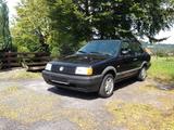 Volkswagen VW Polo Classic Derby 1. Hand 81.085 KM Sc... - Volkswagen: Derby