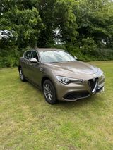 Alfa Romeo Stelvio 2.0 Turbo 16V 206kW Super AT8-Q4 Super - Alfa Romeo in Hamburg