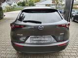 Mazda CX-30 2.0L e-SKYACTIV X FWD Nagisa - Mazda CX-30 mit Hybrid-Antrieb: Nagisa