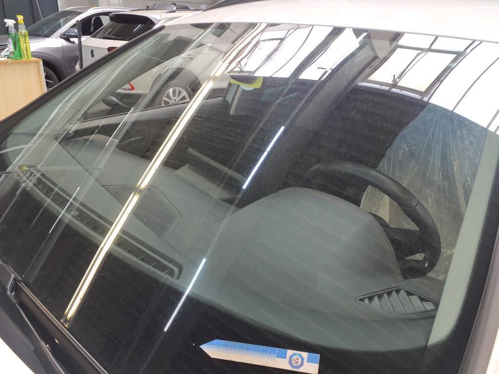 Cupra Formentor 1.5 TSI DSG PDC*Tempo*Klima