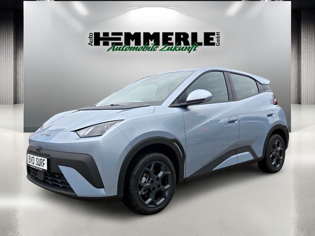 BYD DOLPHIN SURF
