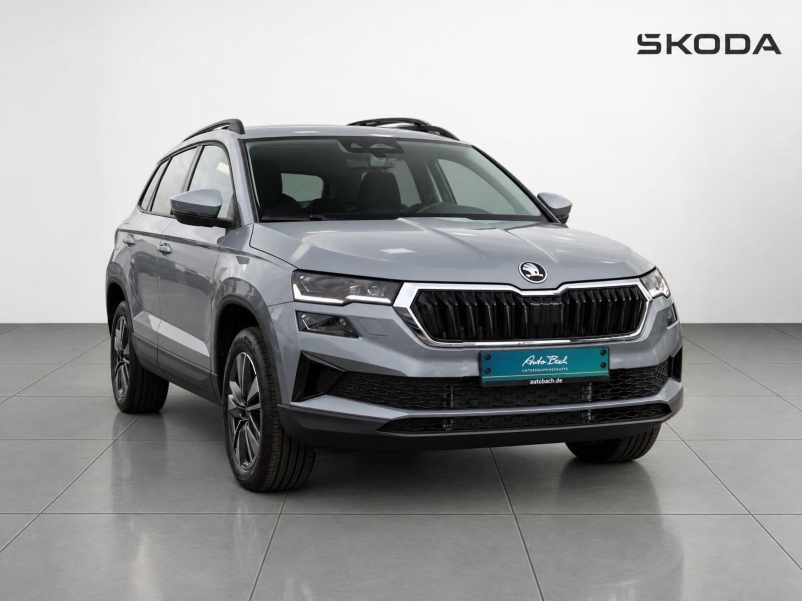 Skoda Karoq - Bild 3