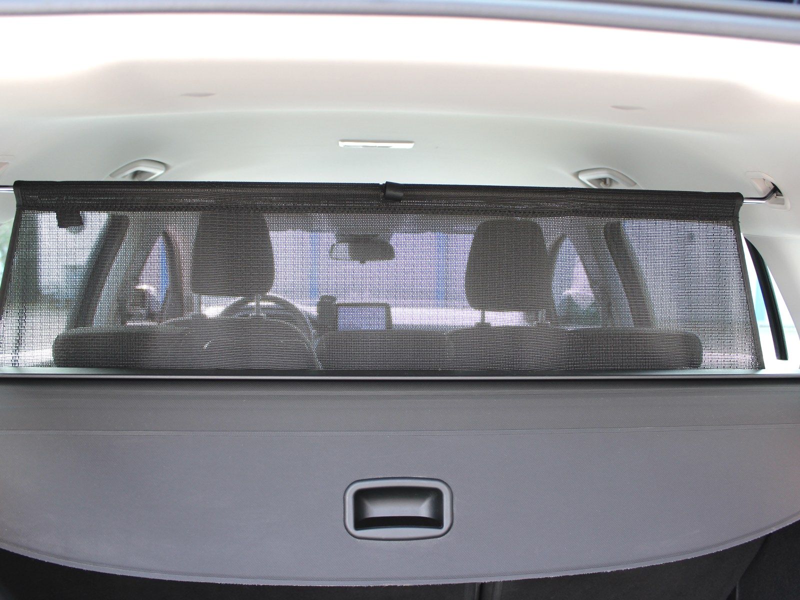 Fahrzeugabbildung Ford Focus Cool & Connect 1,0 EcoBoost Start/Stopp