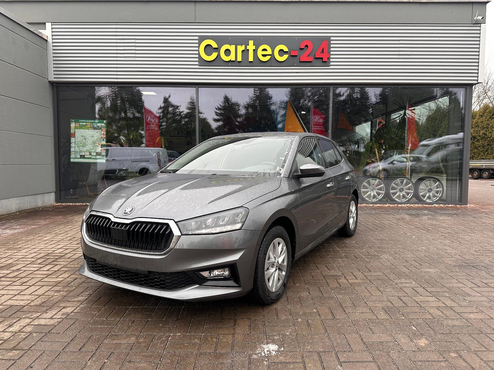 Skoda Fabia Selection