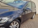 Volkswagen Golf VII TSI*Highline*LED*Navi*DCC - Volkswagen Golf: Highline Vi
