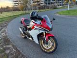 Honda CBR600F  - HONDA CB600F