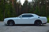 Dodge Challenger 6.4 V8 Scat Pack | Handschalter | US - Dodge Challenger aus 2021