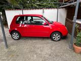 Volkswagen Lupo 1.0 Oxford  - Volkswagen Lupo Oxford mit Benzin-Antrieb