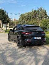 Alfa Romeo Stelvio 2.9 V6 Bi-T. 375kW Quadrifoglio AT8-... - Alfa Romeo: Quadrifoglio