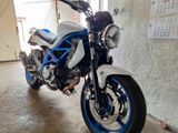 Suzuki SFV650 Gladius  ABS - SUZUKI 650 GLADIUS