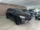 Mercedes-Benz ML 250 CDI BlueTec*Leder*Bi-Xenon*El.Heckklappe* - Mercedes-Benz mit Diesel-Antrieb: Ml