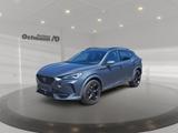 Cupra Formentor 2.0 TSI 4 Drive VZ AHK 360 19'' Beats