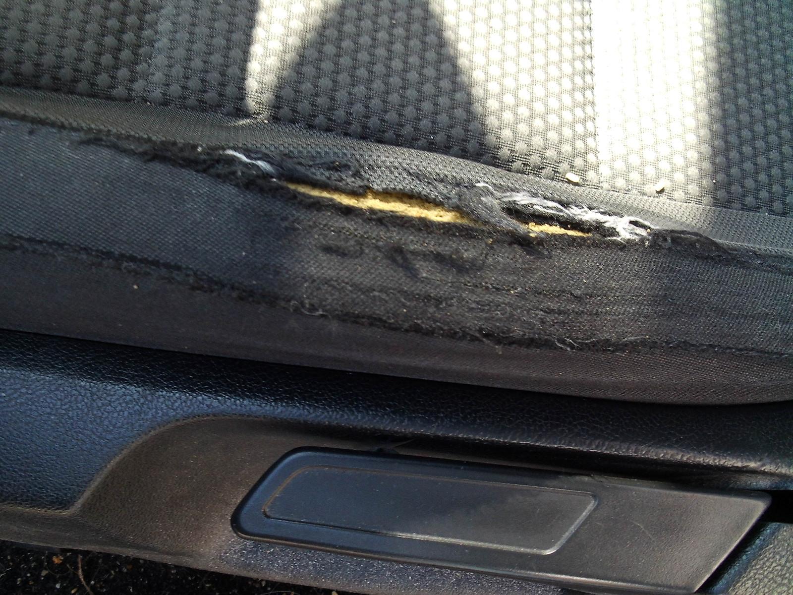 Volkswagen Golf 2010 — photo 7