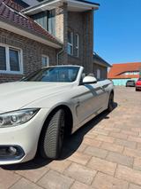 BMW Cabrio 4er NEU TÜV  - BMW: Cabrio, 4er