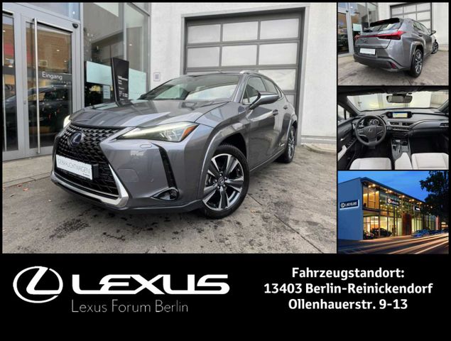 Lexus UX250h Luxury Line * Schiebedach * 360 Kamera * 