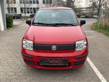 Fiat Panda 1.2 8V Classic - Fiat Panda in Wiesbaden