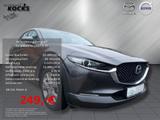 Mazda CX-30 SKYACTIV-G 2.0 M Hybrid AL-SELECTION *MATR - Mazda CX-30 in Essen