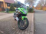 Kawasaki Ninja125 Performance  - KAWASAKI 125