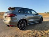 Porsche Cayenne GTS, Approved, Scheckheft, 12 J. Besitz - Porsche: Approved
