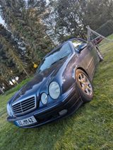Mercedes-Benz CLK 230 KOMPRESSOR ELEGANCE Elegance - Mercedes-Benz CLK 230 aus 2000