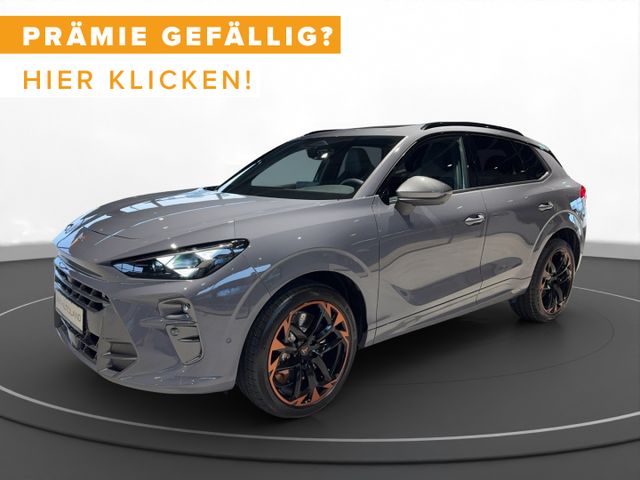 Cupra Terramar 2.0 TSI DSG 4Drive VZ PANO | HD-MATRIX