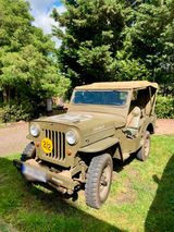 Jeep Willys 1950 CJ3B Army Style - Jeep: Army