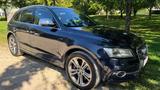 Audi SQ5 3.0 TDI competition tiptronic quattro - Audi SQ5 aus 2017