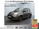 Fiat Panda Easy 1.2 PDC Klima MP3 CD met. eFH NSW Tag - Fiat Panda: 2t