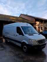 Mercedes-Benz Mercedes Sprinter 316 CDI MOTOR getauscht! - Mercedes-Benz: Sprinter Motor