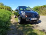 Nissan Micra K12 Sondermodell Vollausstatt... - Nissan Micra in Rostock