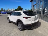 Mazda CX-30 2.5 (140PS) Autom. Centre-Line Rückfahrkam - Mazda CX-30 Gebrauchtwagen in Frankfurt