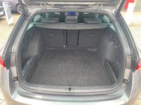 Skoda Octavia - Vorschau Bild 14