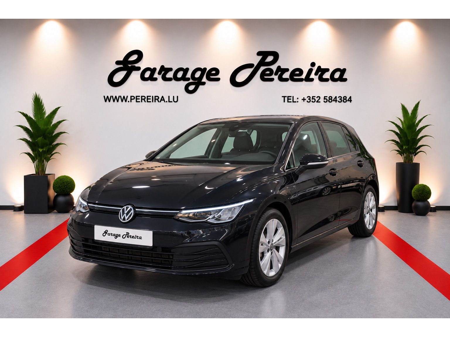Volkswagen Golf Golf 8 1.5 eTSI 150 DSG LIFE LED NAVI imagem 2