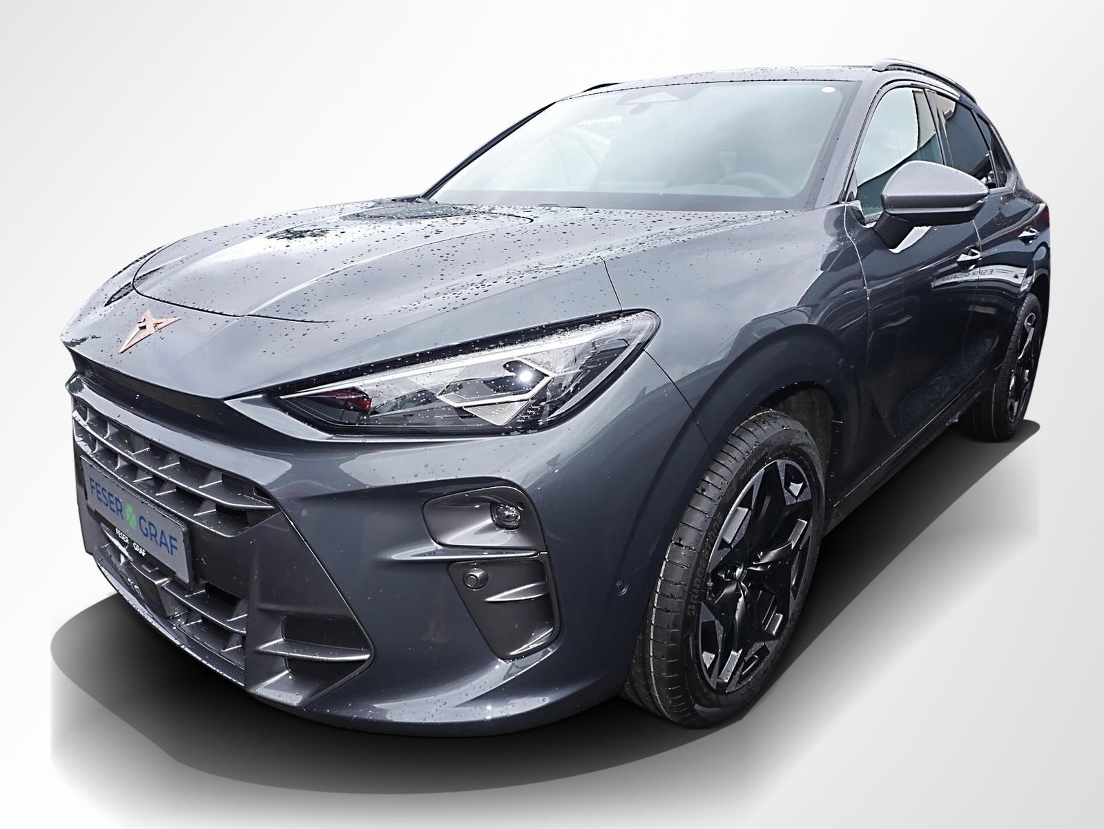 Cupra Terramar - Bild 10