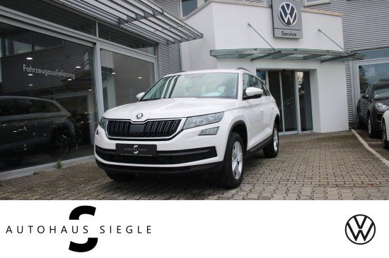 Skoda Kodiaq 2.0 TDI Ambition 4x4 AHK DSG Navi DCC Tem