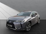 Lexus UX 250H*SCHECKHEFT*TOTW*LEDER* - Lexus UX in Duisburg