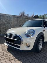 MINI Ein kleiner Engländer zum verlieben - MINI MINI: Beige