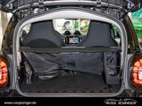 Smart EQ fortwo passion *Cam*PDC*Navi*SHZ*Allwetter* - Smart ForTwo aus 2018