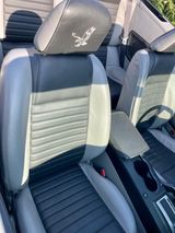 Ford Mustang Cabrio gun silver metallic  - Ford Mustang aus 2006