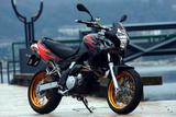 Aprilia Pegaso 650 Factory, einmaliger Zustand, wie NEU - APRILIA PEGASO