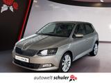 Skoda Fabia 1.0 TSI Clever Navi SHZ PDC - Skoda Fabia: Beige