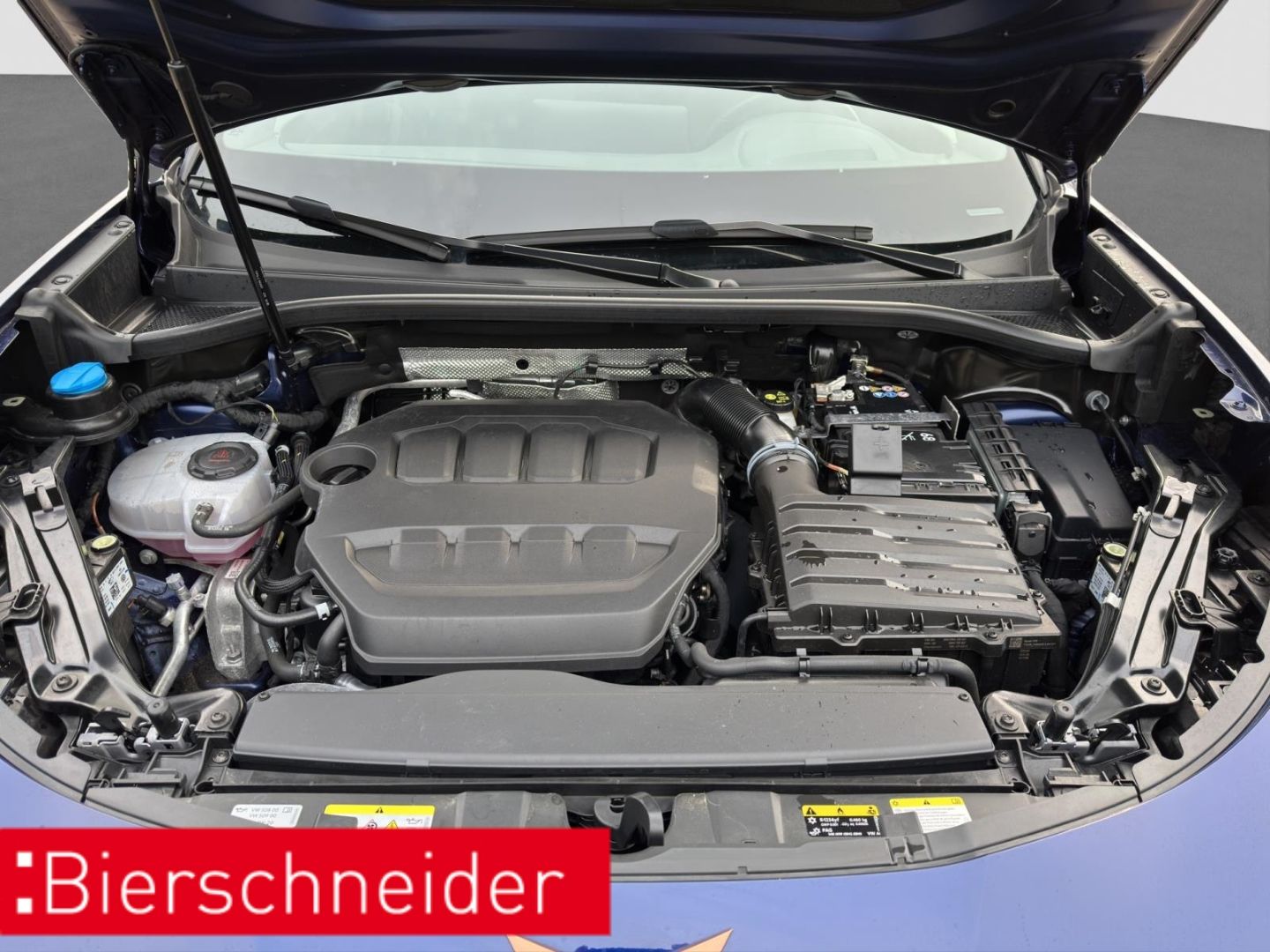 Cupra Terramar - Bild 28