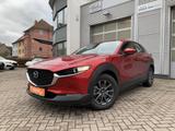 Mazda CX-30 AHK+HUD+LED+Navi+Sitzhzg - gebrauchte Mazda CX-30 aus dem Jahr 2022