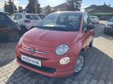 Fiat 500 1.0 CULT Klimaanlage*Tempomat - Fiat 500 Cult mit Benzin-Antrieb