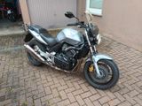 Honda cbf600 - Offers matching your search criteria