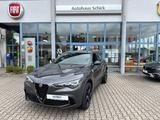 Alfa Romeo Stelvio Quadrifoglio Q4 2.9 V6 Bi-Turbo - Alfa Romeo Stelvio Quadrifoglio mit Benzin-Antrieb